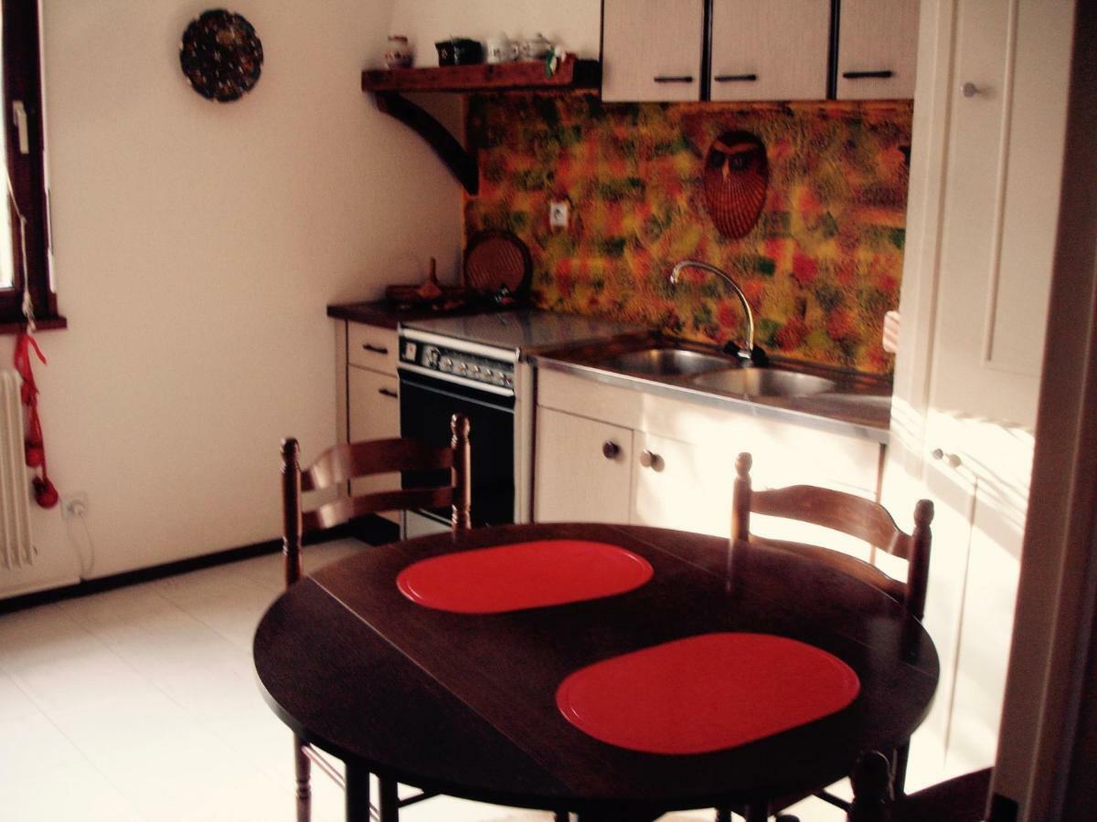 Patio Apartment Колмар Екстериор снимка